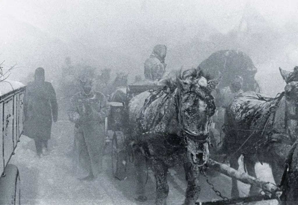 Ostfront, Winter 1942: „Der Schneesturm kann uns nicht brechen“ – doch was wirklich geschah, widersprach jeder Propaganda.H - BuzzDay