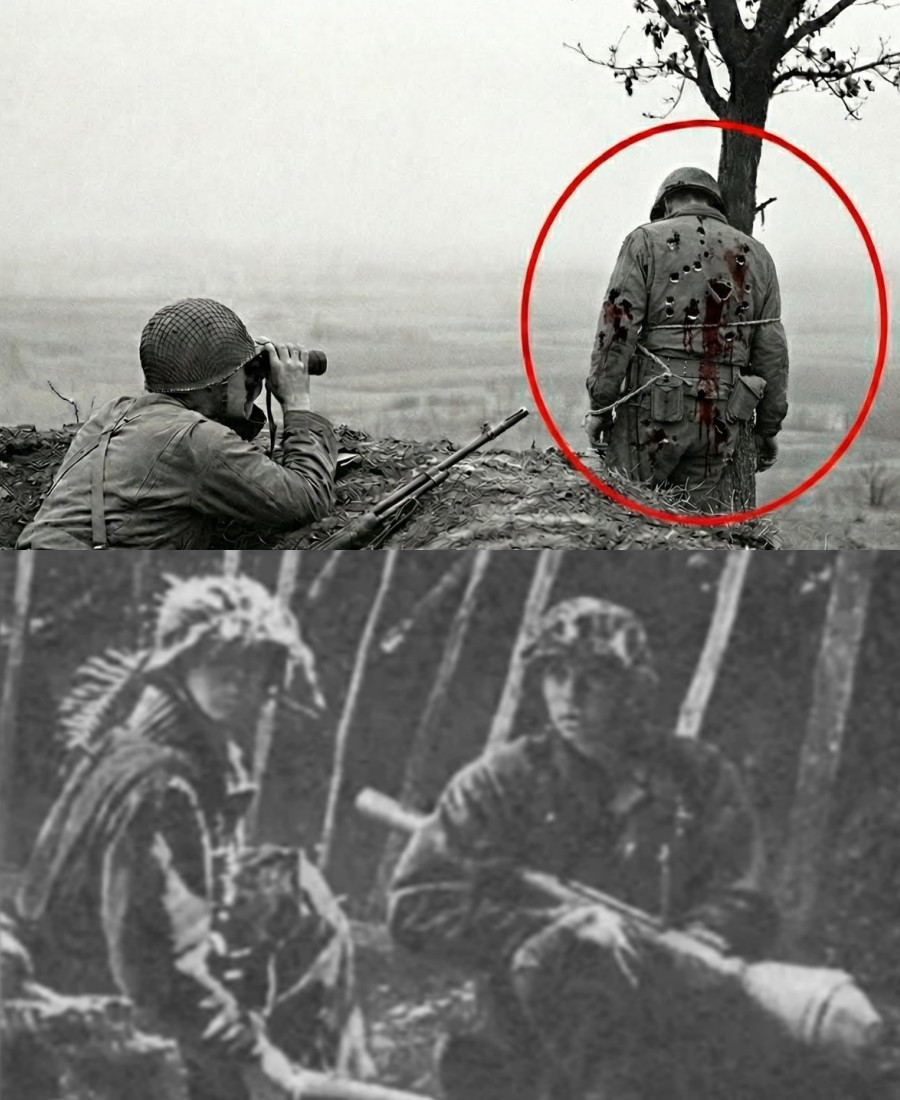 Wie ein 20-Jähriger mit einem „Menschenköder-Trick“ 52 Deutsche tötete und seine Kameraden rettete.H - BuzzDay