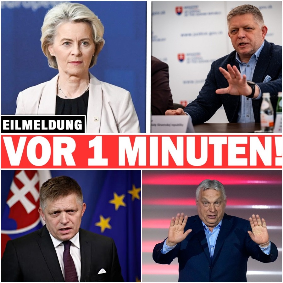 Energie-Schock und Machtkampf: Warum die Slowakei die EU verklagt und was das für Europa bedeutet. hyn - BuzzDay