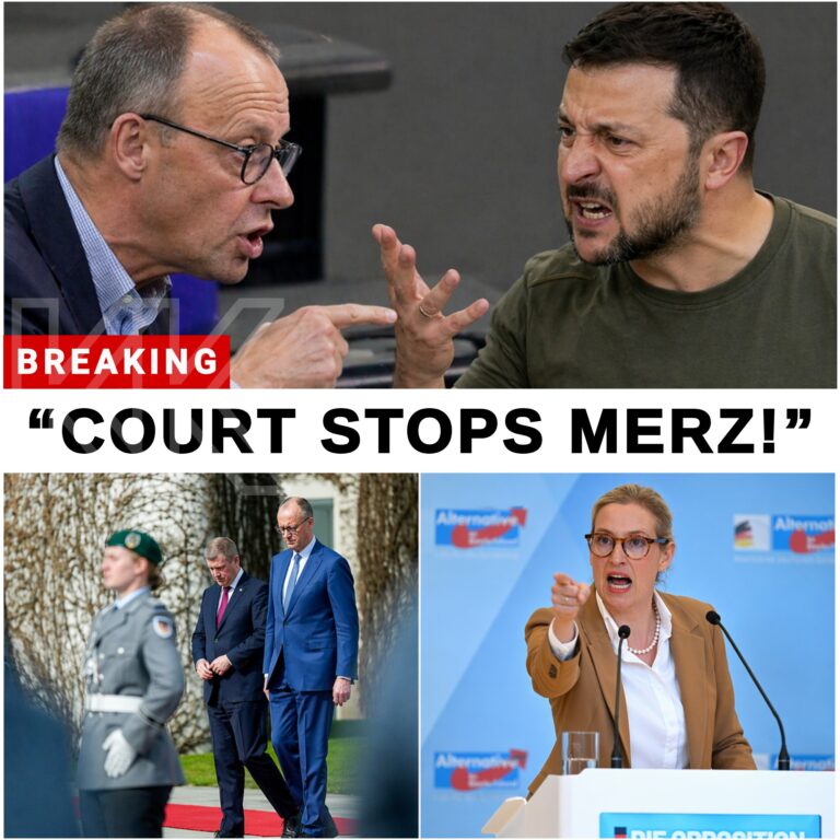 17-fach verfassungswidrig: Karlsruhe zerschmettert die Milliardenpläne von Friedrich Merz und stürzt die Republik in eine Verfassungskrise. HYN - BuzzDay