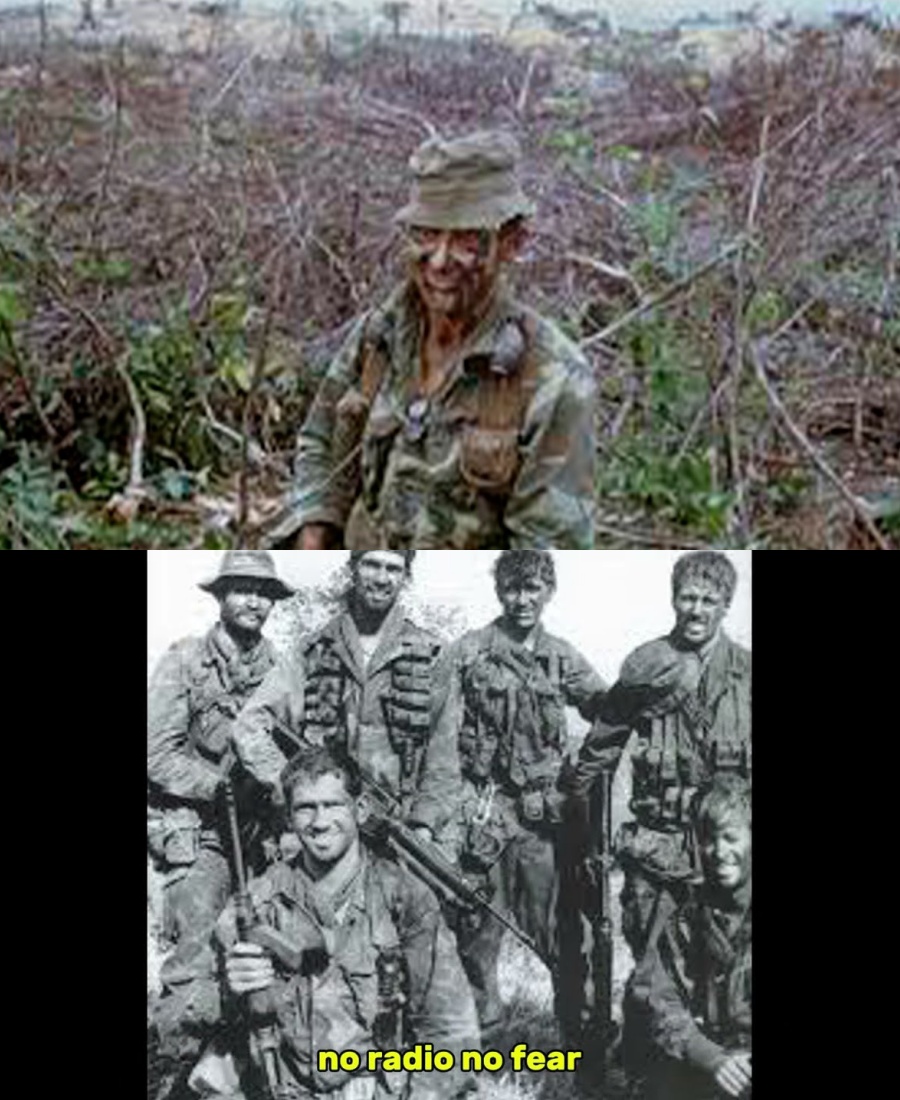 He Used Snakes As Weapons” – The Australian SAS Raid That Made MACV-SOG Speechless.H - BuzzDay