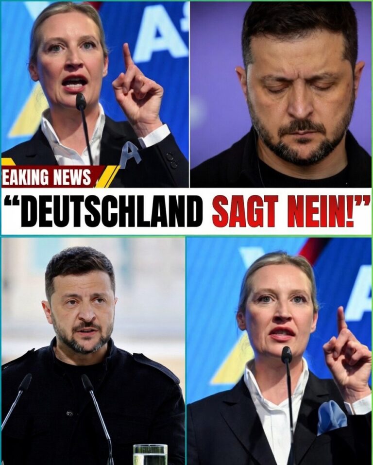 Der milliardenschwere Ukraine-Skandal ist endlich aufgedeckt! Alice Weidel lässt eine Bombe platzen und konfrontiert Volodymyr Zelenskyy direkt: Wohin sind unsere Steuergelder verschwunden? hyn - BuzzDay