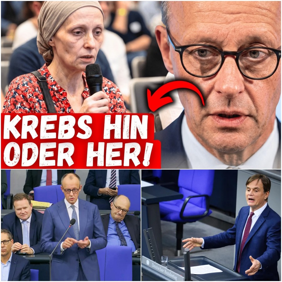 Der Empathie-Kollaps der Politik: Wenn eine sterbenskranke Frau zur Nebensache wird und ein Land um seine Zukunft bangt. hyn - BuzzDay