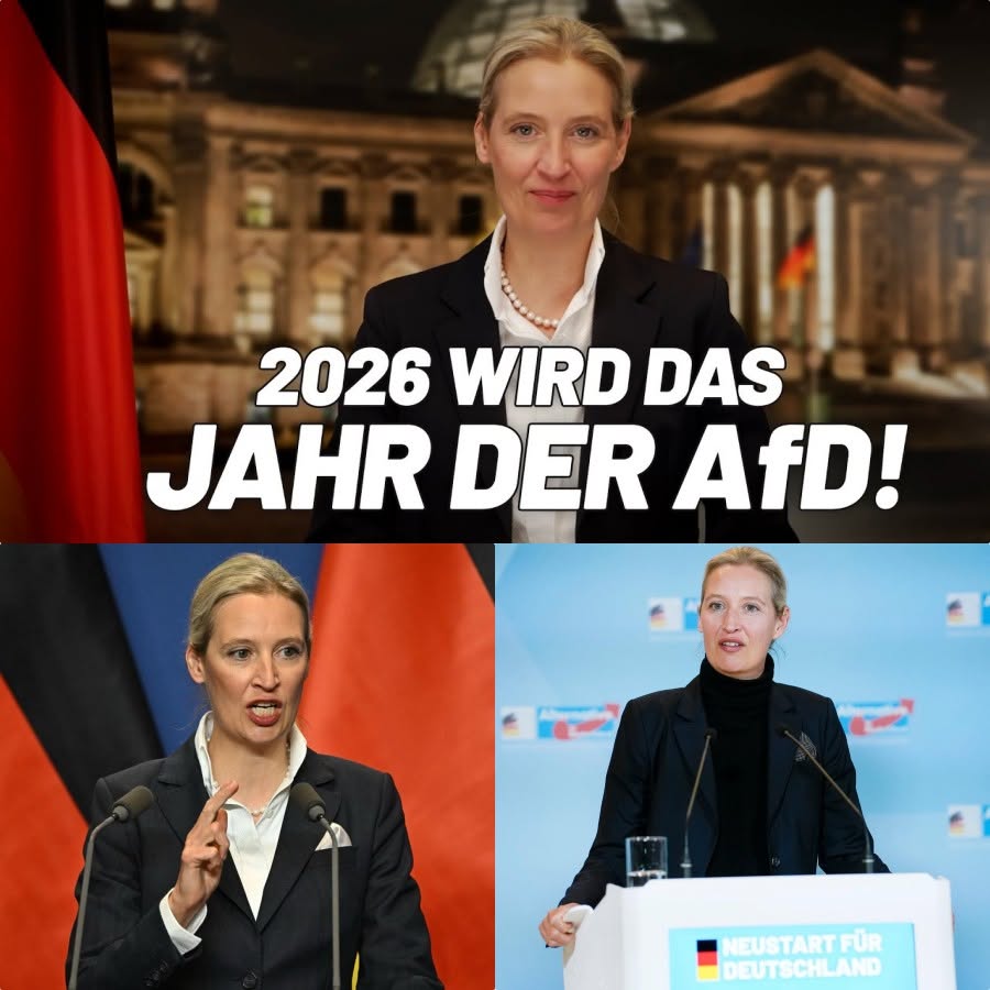 Der große politische Umbruch: Warum 2026 das Schicksalsjahr für Deutschland und das Jahr der AfD wird.H - BuzzDay