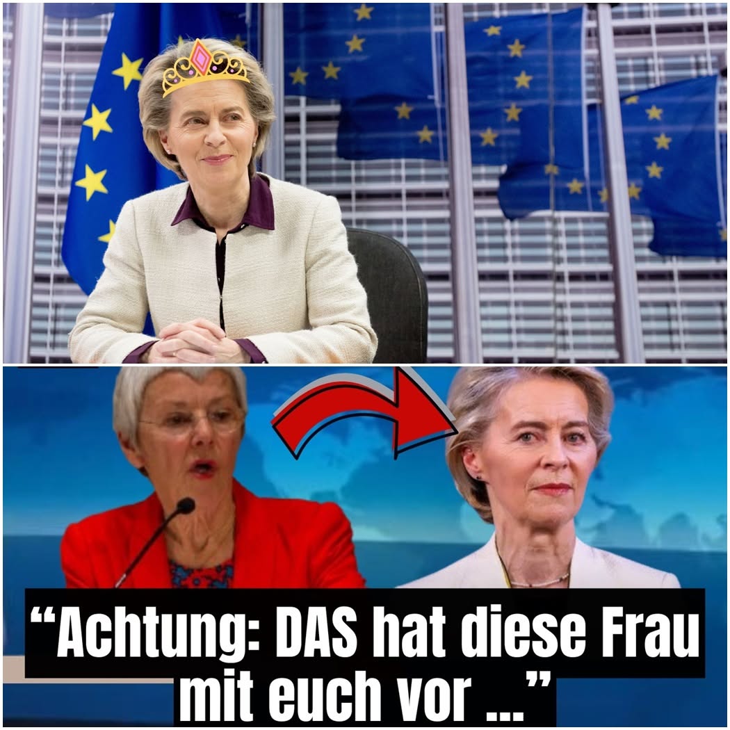 Propaganda im Cockpit? Die Demontage einer Berliner Inszenierung . hyn - BuzzDay