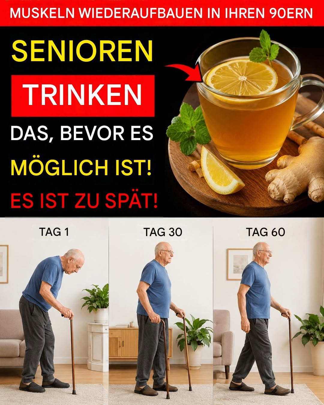 Über 60? Trinken Sie diese 3 Teesorten, um Muskeln wieder aufzubauen und eine gesunde Figur zu erlangen.H - BuzzDay