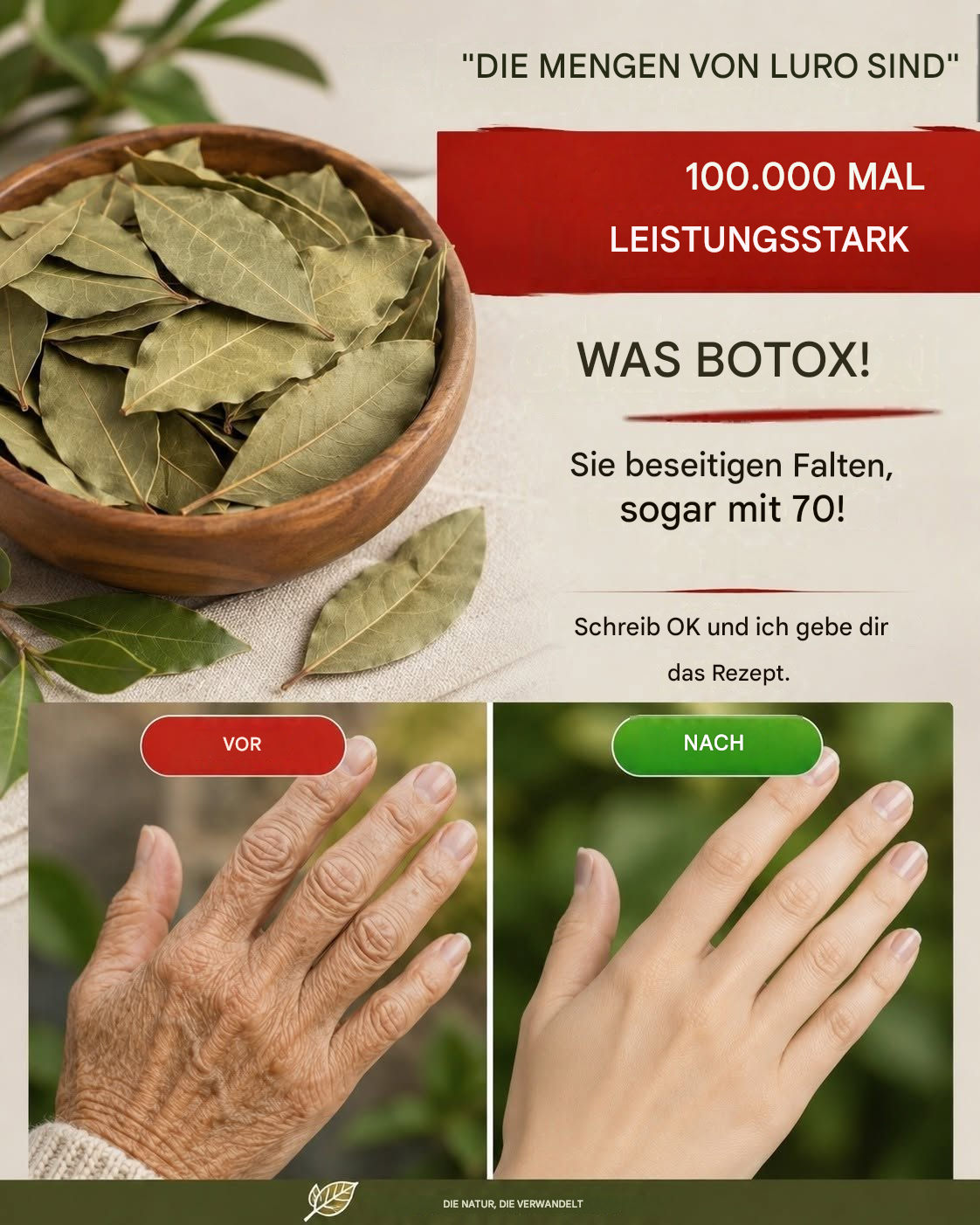 Lorbeerblätter gegen Falten: Das natürliche Schönheitsgeheimnis, das viele wiederentdecken.H - BuzzDay