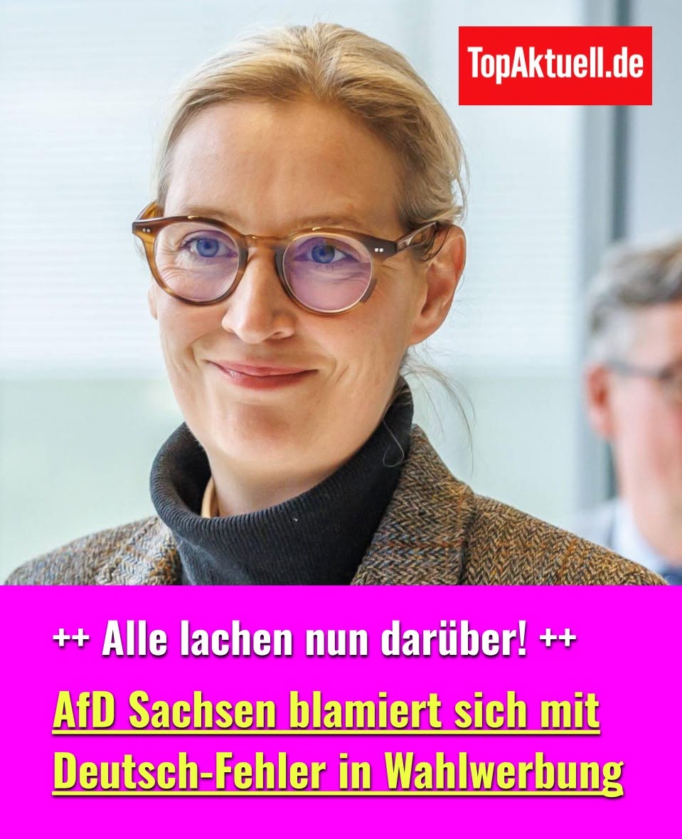 NATO-Staaten aus Europa gegen die USA? Das steckt hinter dem aktuellen Streit.H - BuzzDay